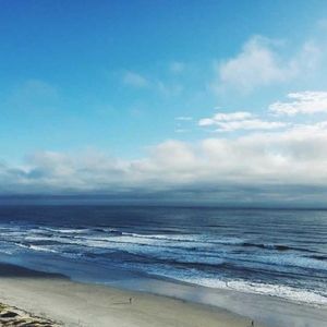 Meet your Posher, Ernest